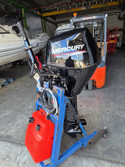 Fuoribordo Mercury F25 ELHPT